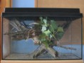 /album/insektaria-lihne-krmivo-/img-0510-jpg2/